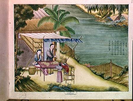 Ms 202 f.6 Sorting the Cocoons, from a book on the silk industry  on from Chinese School