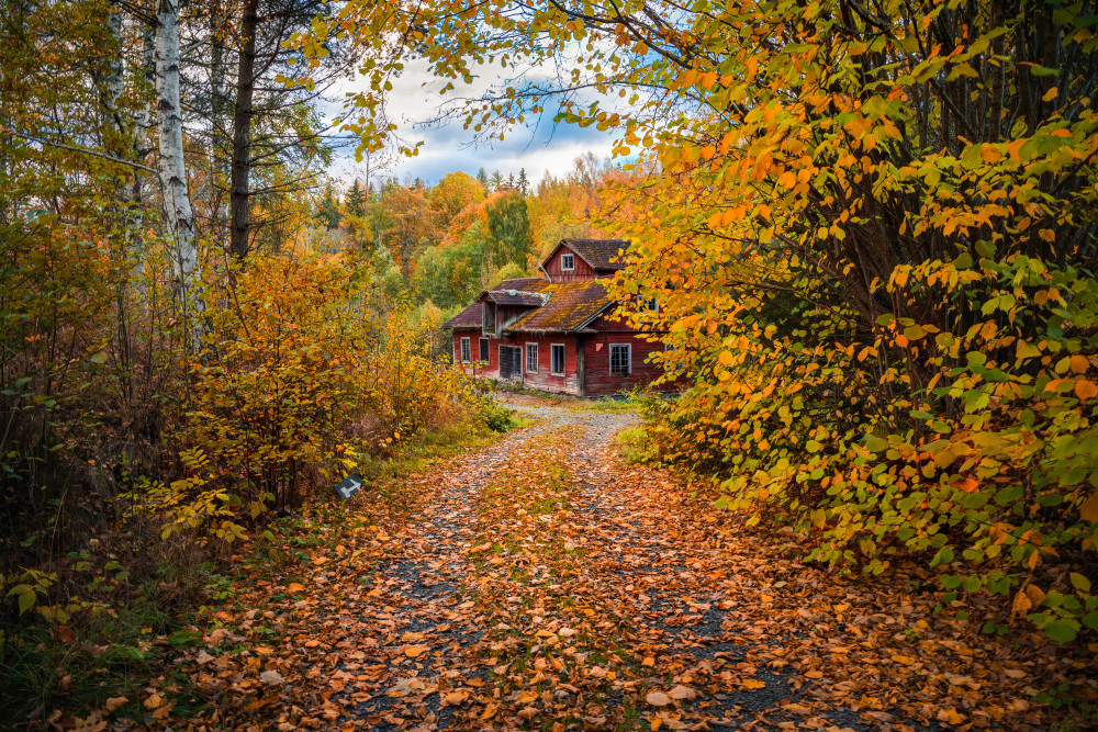 Old mill surrounded by autumn colors from Christian Lindsten