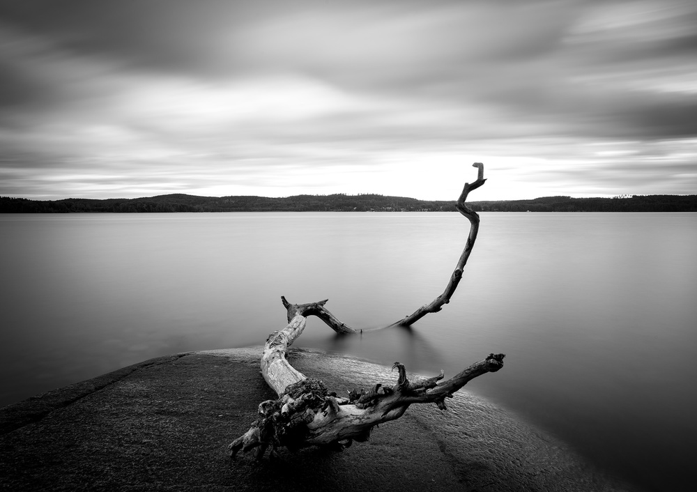 Branch long exposure lake from Christian Lindsten
