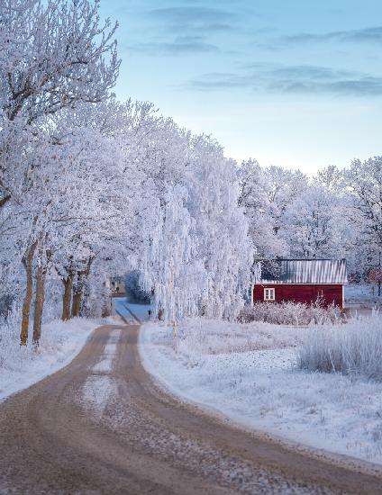 Frosty road
