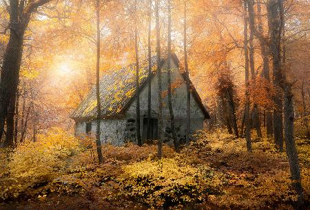 House in the forest during fallseason