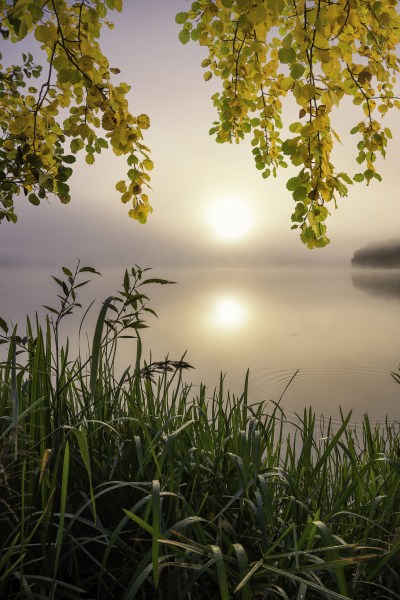 Morning light at the lake from Christian Lindsten
