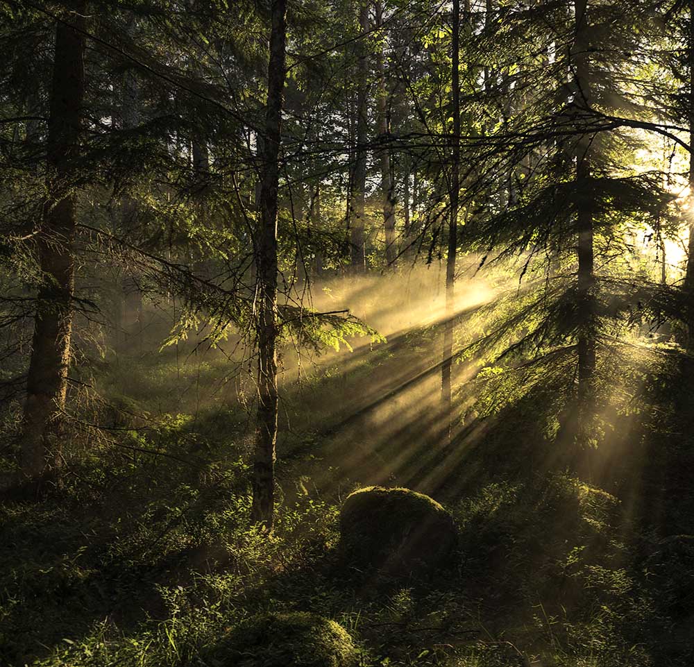 Sunrays from Christian Lindsten