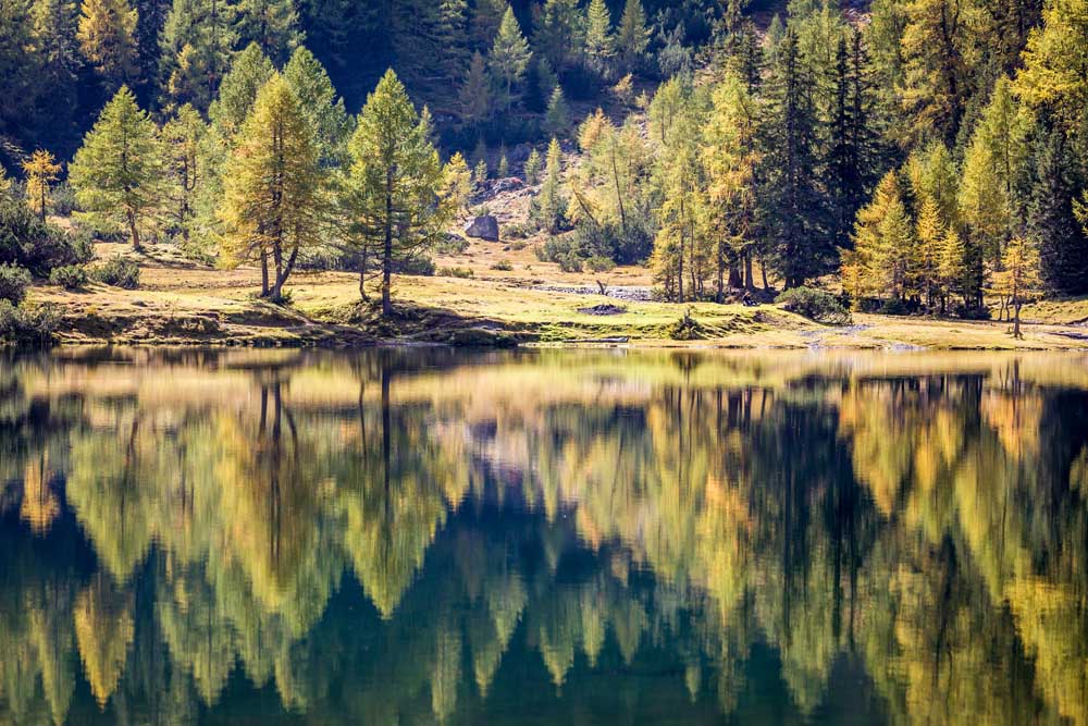 Autumn forest at the Duisitzkarsee in the Schladming Mountains from Christian Müringer