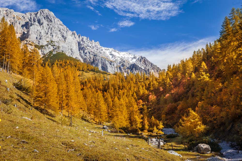 Hiking trail between Neustattalm and Bachlalm on the Dachstein from Christian Müringer