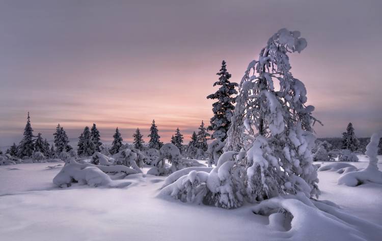 Lappland - winterwonderland from Christian Schweiger