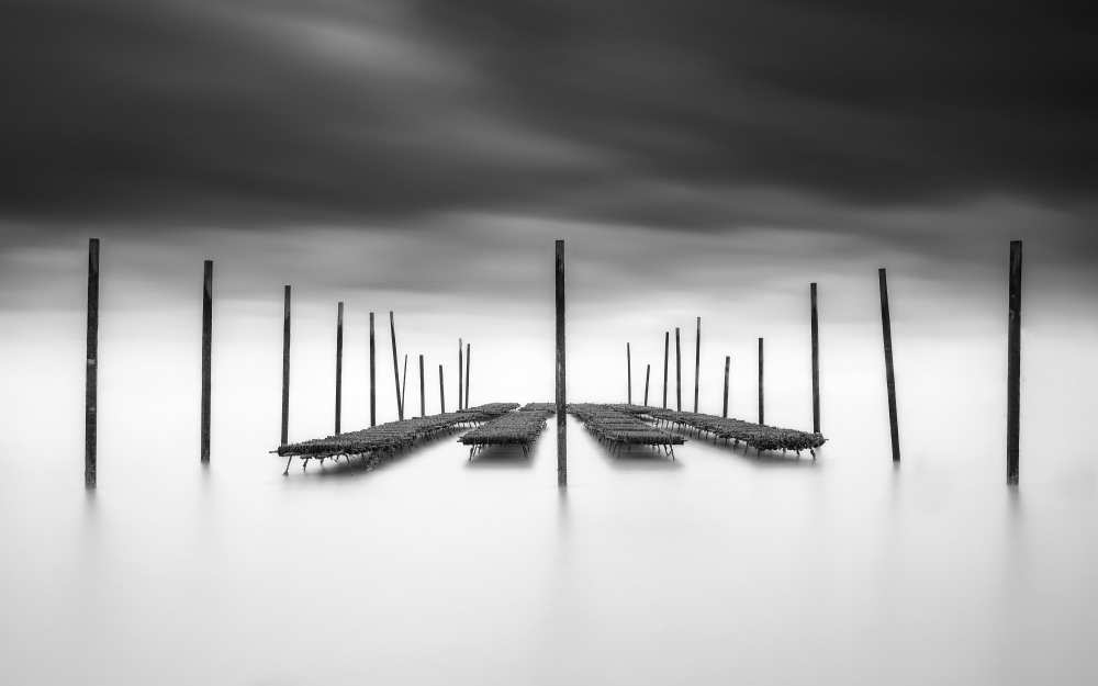 The Oyster Bar from Christophe Staelens