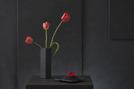 Tulipa Gesneriana N°2