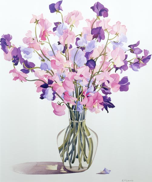 Sweetpeas from Christopher  Ryland
