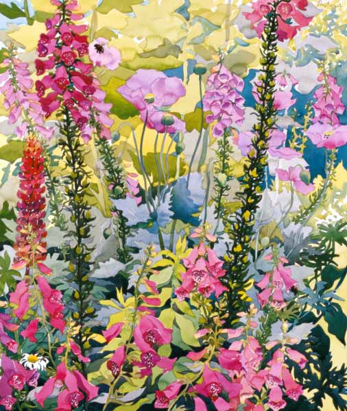 Garden with Foxgloves from Christopher  Ryland