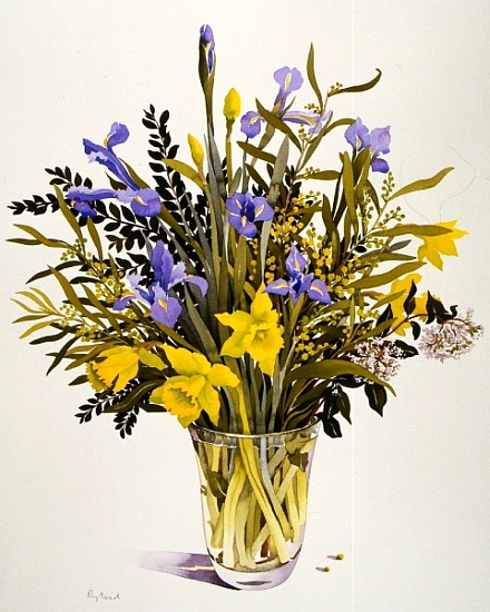 Spring Flowers from Christopher  Ryland