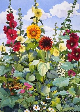 Hollyhocks and Sunflowers