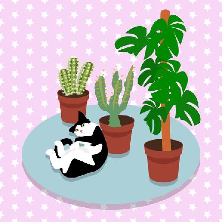The Cat and the Cacti