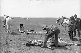 Indians killing beef, 1891 (b/w photo)