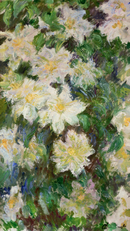 White Clematis from Claude Monet