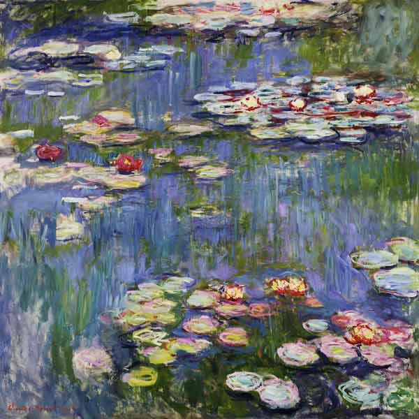 Water Lilies