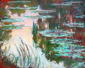 Water-Lilies, Setting Sun