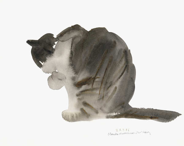 Cat from Claudia Hutchins-Puechavy