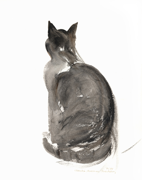 Cat from Claudia Hutchins-Puechavy
