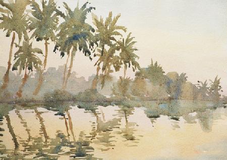 614 Dawn on the backwaters