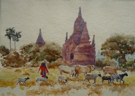 901 Bagan, herding among the temples