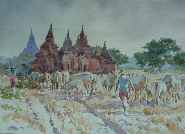 928 Bagan, homewards herding from Clive Wilson Clive Wilson