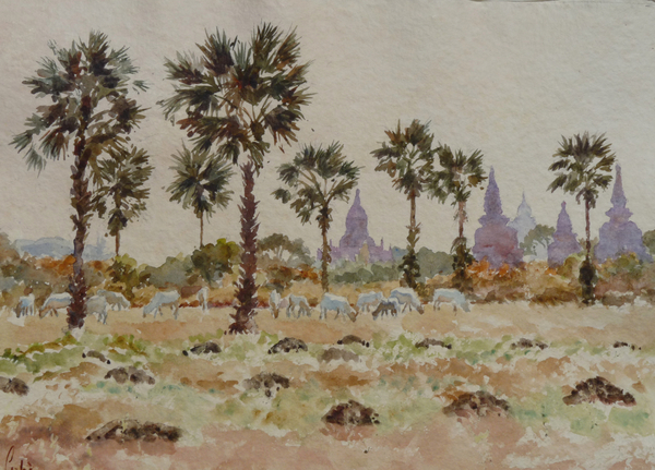 935 Blue cows and palmettos from Clive Wilson Clive Wilson