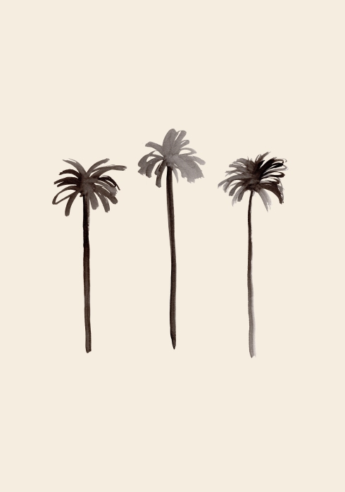 Palm Trees Ink from Graphic Collection