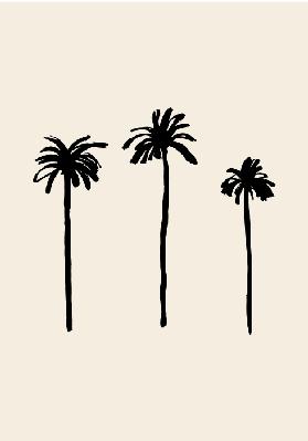 Palm Trees