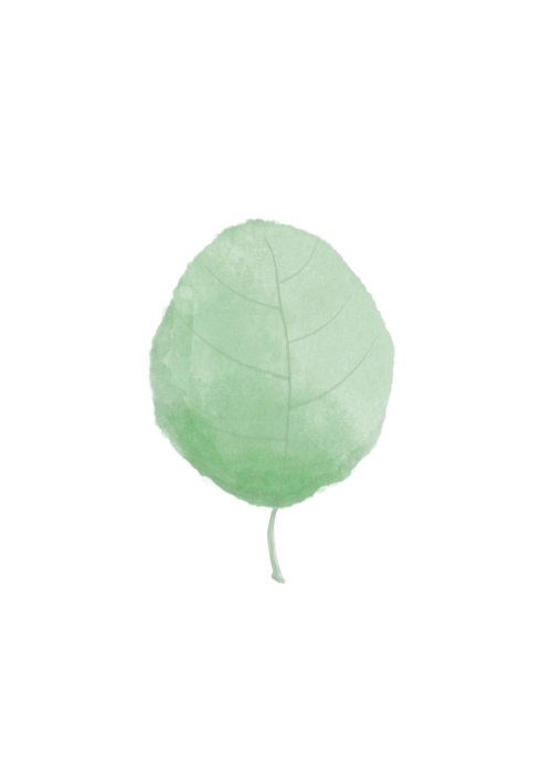 Single Leaf from Graphic Collection