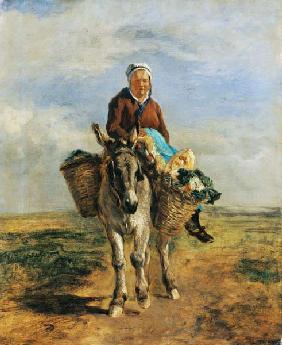 Country Woman Riding a Donkey