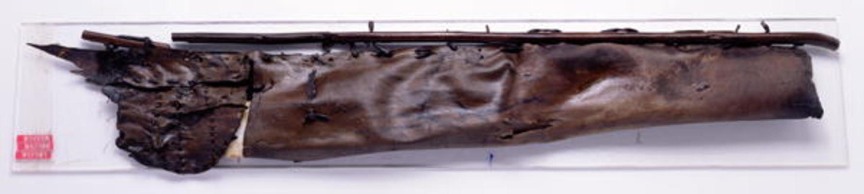 Quiver found with the Oetzi Iceman (chamois leather) from Copper Age
