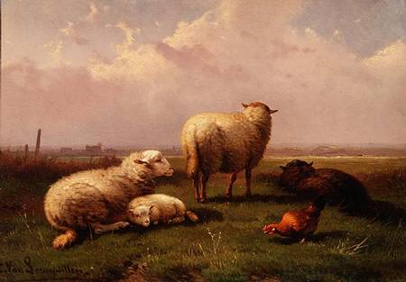 Sheep Dozing in a Pasture from Cornelis van Leemputten