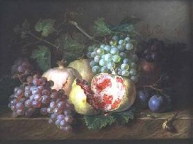 Still life of pomegranates, grapes and plums on a marble ledge