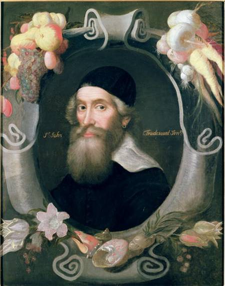 John Tradescant the Elder (1570-c.1638) from Cornelius de Neve