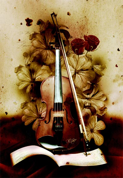Violon from Chrystelle Coupat