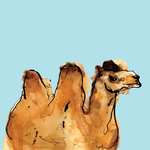 Horizontal Camel from Louise Cunningham