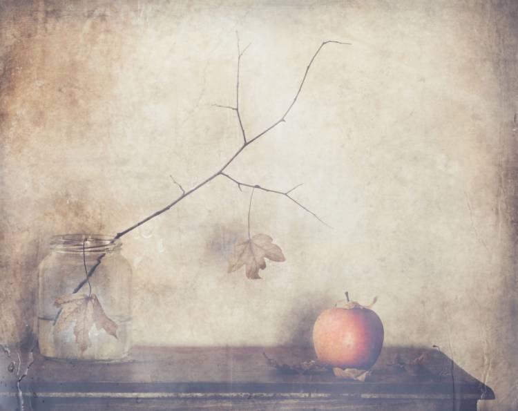Fall, leaves, fall from Delphine Devos