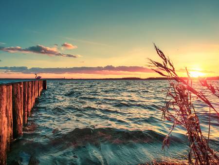 Sonnenuntergang am See mit Buhnen und Schilf