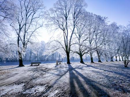 Wintertraum. Licht und Schatten im Winter.jpg (29924 KB) 