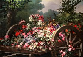 The Flower Barrow