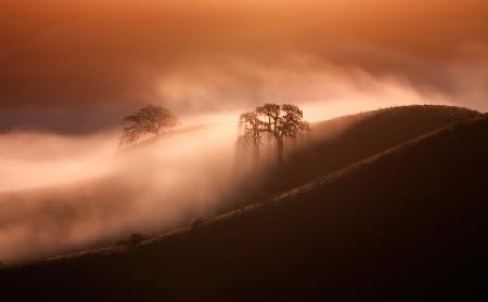 When Sun Shine Above Fog