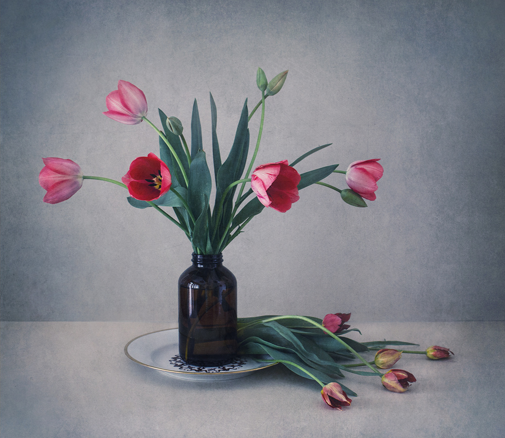 Still life with tulips from Dimitar Lazarov - Dim