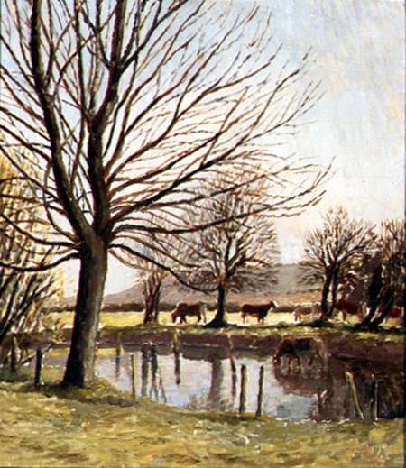 Cattle by a Pond from Dora Carrington