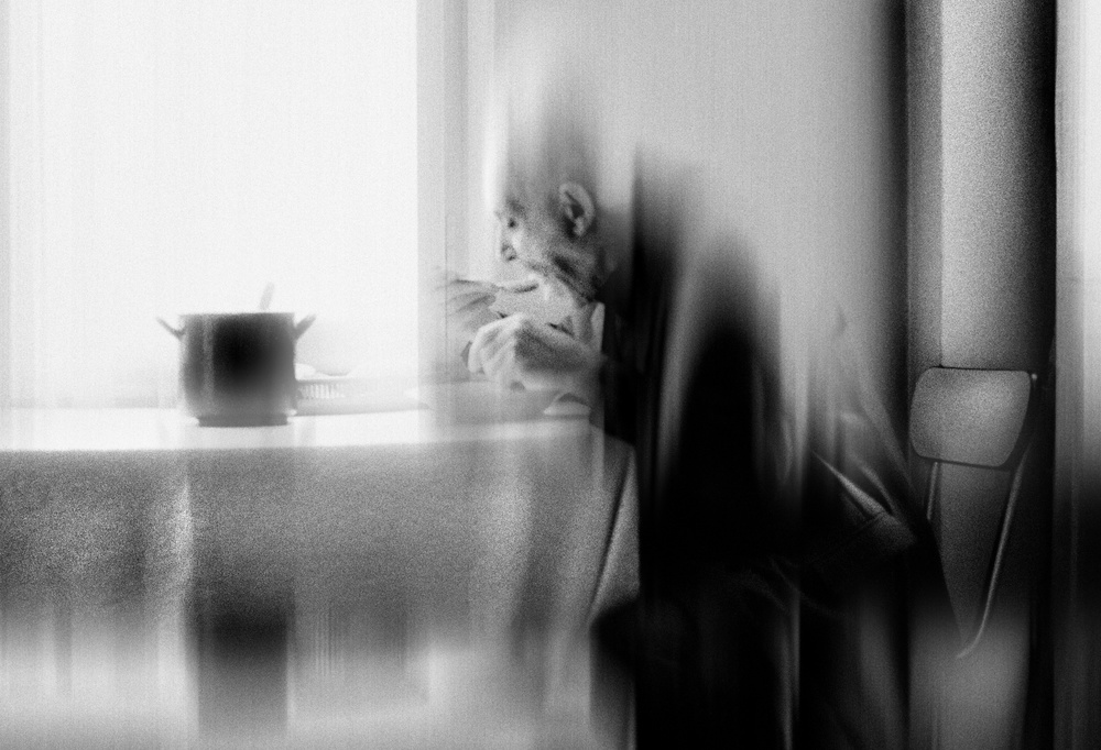 Dining in the silence of oblivion from Dragan Ristic