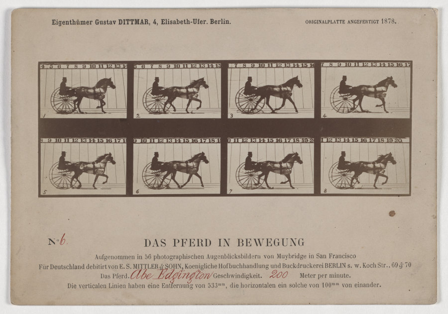 Das Pferd in Bewegung from Eadweard Muybridge