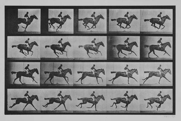 Jockey on a galloping horse, plate 627 from "Animal Locomotion" from Eadweard Muybridge