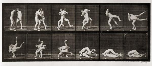 Two Men Wrestling, plate 347 from ''Animal Locomotion'', 1887 (b/w photo) 