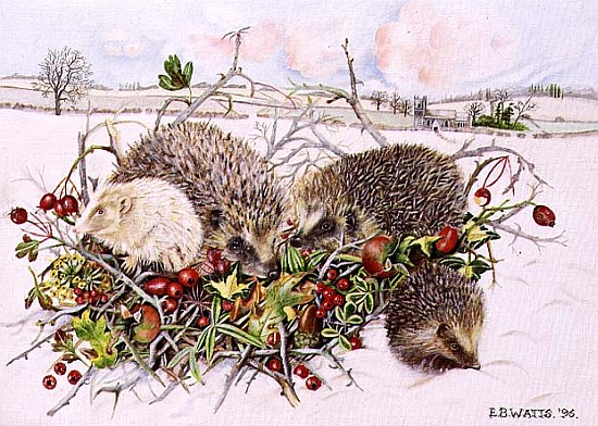 Hedgehogs in Hedgerow Basket, 1996 (acrylic on canvas)  from E.B.  Watts