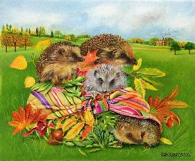 Hedgehogs Inside Scarf, 2000 (acrylic on canvas) 